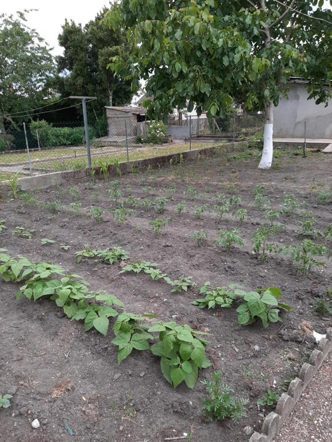 Villa La petite escale Vierzon Esterno foto